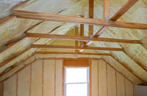 Best Specialized Insulation Services in Pine Knoll Shores, NC